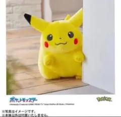 ポケモン30周年記念おかえり!ピカチュウ1/1