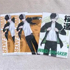 WINDBREAKER 桜遥 特典 ポストカード 3枚セット
