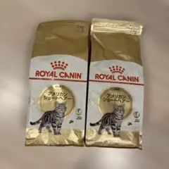 ロイヤルカナン アメリカンショートヘアー 2kg×4袋 - メルカリ