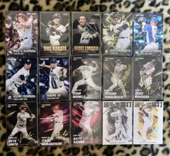 プロ野球チップス2026カード