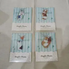 mofusand モフサンド アクリルチャーム 4種セット ファミマ