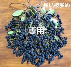 RYSM様専用【25cm以上ロング多め】シャリンバイ ドライフラワー