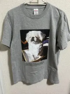朝6時のTシャツ　ミックスグレーのサムネイル
