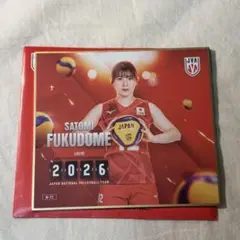 バレーボール女子日本代表2026 トレーディングmini色紙 荒木彩花