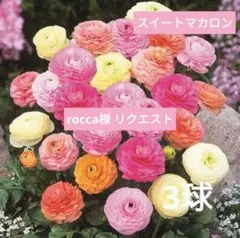rocca様 リクエスト 3点 まとめ商品
