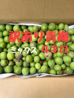 ④紀州南高梅 減農薬 かなり訳あり 4L〜L大きめ 箱込み5キロ - メルカリ