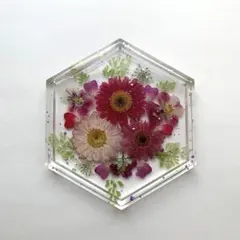 固まるハーバリウム♡六角形トレイ