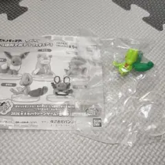 ポケモン しっぽみてみて キモリ　匿名　ガチャガチャ　ポケットモンスター