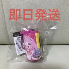 ひみつのアイプリ コインシリンダー シークレットフレンズ ひまり みつき つむぎ