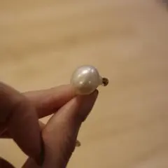 2026年最新】Ripsalis ピアスの人気アイテム - メルカリ