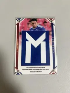 Item thumbnail for item d1ee8540-11f2-44b2-ab53-b86ab46202a0