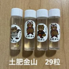 2025年最新】土肥金山 砂金の人気アイテム - メルカリ