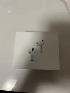 Apple AirPods Pro 3 本体 充電ケース 本革ケース付き
