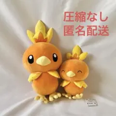 【2点セット】アチャモ　めっちゃもふぐっとシリーズ