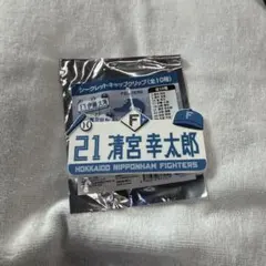 清宮幸太郎 シークレットキャップクリップ