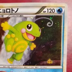 ニョロトノ L1 キラ 十字 1ED
