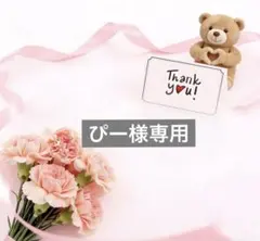 ぴー様専用ページ