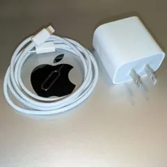 Apple USB-C 20W Power Adapter/Cable/Pin