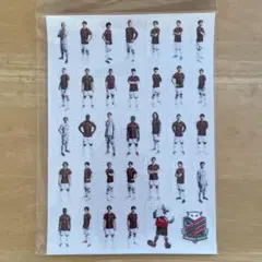 コンサドーレ札幌　プレイヤーズバラエティステッカー
