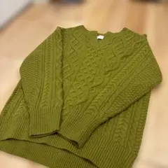 シンプリシテェ グリーンニット