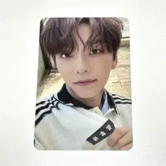 ALD1 シンロン トレカ ジュエルケース 封入