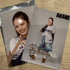 千葉ロッテマリーンズ M☆Splash!! ALT ブロマイド AKANE
