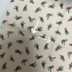 訳あり　クリスマス