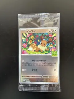 you　ポケモンカード　イーブイ　カラフルキャッチ　プロモ　まとめ売り 2026年最新】ポケモンカード イーブイ カラフルキャッチの人気アイテム