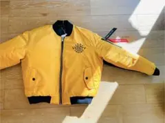 Item thumbnail for item 7ee10448-abe3-4451-b4b4-afbf953de258