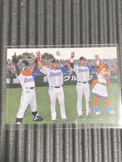 【美品】2014 カルビー プロ野球チップス C-2 大谷翔平 中田翔