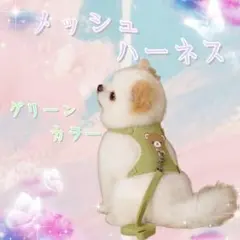 メッシュハーネス 緑 リード付き 小型犬 猫 小動物 S かわいい