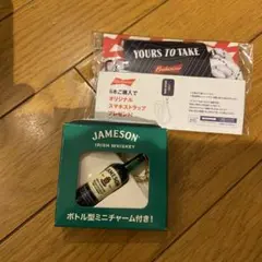 JAMESON IRISH WHISKEY ボトル型ミニチャーム 2個セット - メルカリ