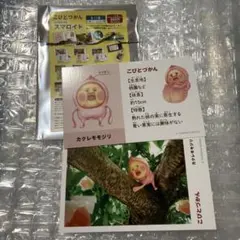 こびと大図鑑　トレーディングカード　カクレモモジリ　あたり　ホロ仕様 こびと大図鑑 トレーディングカード カクレモモジリ あたり ホロ仕様