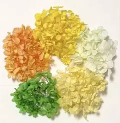 og様 リクエスト 3点 まとめ商品