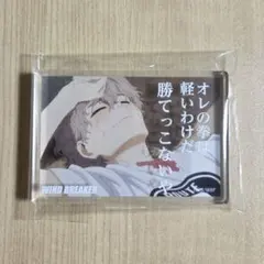 WIND BREAKER アクリルブロック 兎耳山丁子