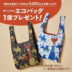 新品　KALDI オリジナルエコバッグ 2色セット　2026年