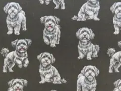 【ゆきちゃん限定】X2483-1 マルプー シルバー（グレー） 黒系 生地 1m