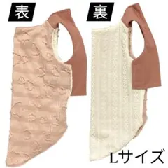 Item thumbnail for item 1d4fddae-286b-44f4-aee0-439589a30202