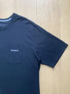 patagonia ポケット付きTシャツ　Mサイズ 色：黒　バックプリントあり