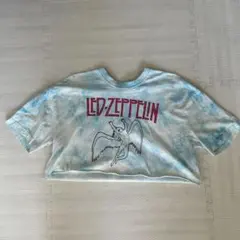 ZARA LED ZEPPELIN クロップドTシャツ M 水色