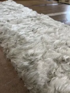 Item thumbnail for item 3447d01d-66a9-4f3c-abc6-aa8837449d46