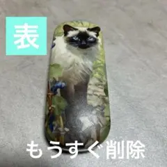 Item thumbnail for item d93010b1-2d30-43a7-a9b7-6042d42cc19e