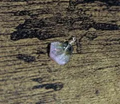 Item thumbnail for item ed0053b9-975c-4a75-b969-5806eb249185