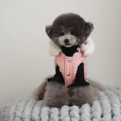 【新品未使用】フード付き犬服 ボアジャケット 韓国 ペット ドッグウェア