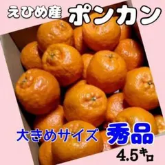 愛媛県産✩ポンカン✩ 秀品 大玉 4.5キロ
