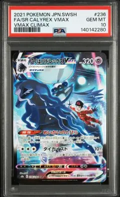 こくばバドレックスVmax CSR PSA10