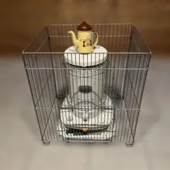 Item thumbnail for item 820fa032-5dc7-4ade-b528-528f5a104c75