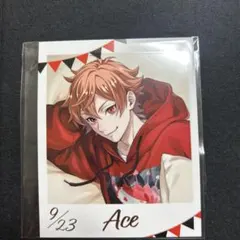 ツイステ フォト風カードコレクション くつろぎマイルーム エース