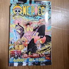 ONE PIECE 102