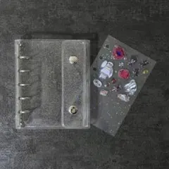 Item thumbnail for item c5916104-f70d-4935-9ede-acd76737bd37